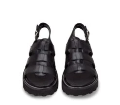 ZIGGY 3137 7 ZIGGY 3137 -Negozio al dettaglio Cult CLE104334 04 f2725f44 8ada 462b 9ed7 b24ea0da1708