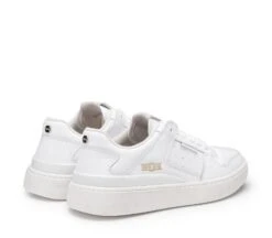 Cult IRON 4325 -Negozio al dettaglio Cult CLM432500 03