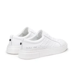 Cult JOVI 4453 -Negozio al dettaglio Cult CLM445300 03