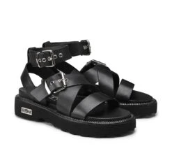 ZIGGY 3442 7 ZIGGY 3442 -Negozio al dettaglio Cult CLW344200 02