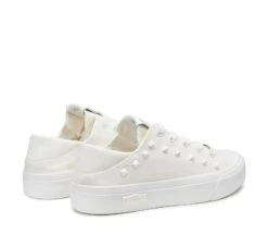 PLACEBO 3641 -Negozio al dettaglio Cult CLW364100 03 047154dd 8135 4a1e a712 9b74b3a82b22