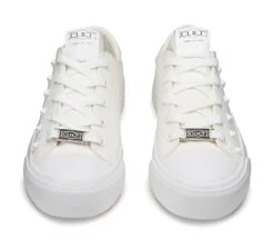 PLACEBO 3641 -Negozio al dettaglio Cult CLW364100 04 fbef0974 fc4f 44d4 a979 6fe30c8562a9