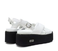 NANCY 4264 6 NANCY 4264 -Negozio al dettaglio Cult CLW426401 03