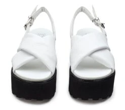 NANCY 4264 7 NANCY 4264 -Negozio al dettaglio Cult CLW426401 04