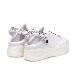 Cult PERRY 4421 -Negozio al dettaglio Cult CLW442100 03