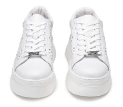 Cult PEARL 4425 -Negozio al dettaglio Cult CLW442500 04