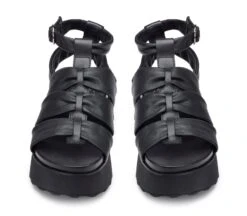 Cult JANIS 4479 -Negozio al dettaglio Cult CLW447900 04